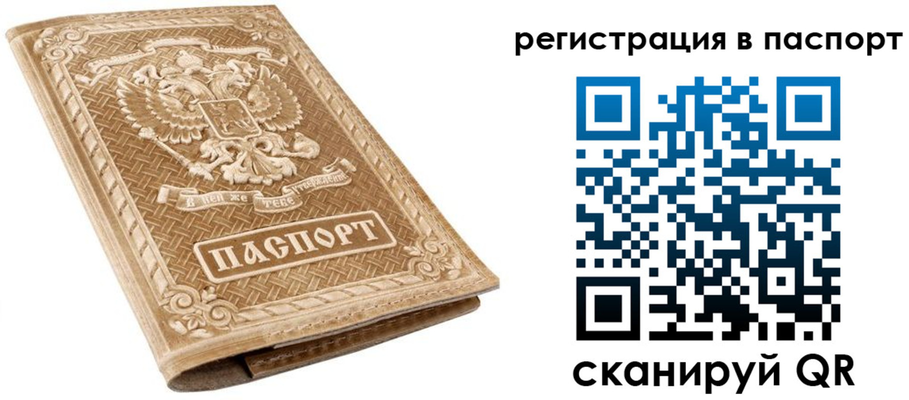 прописка в Сальске